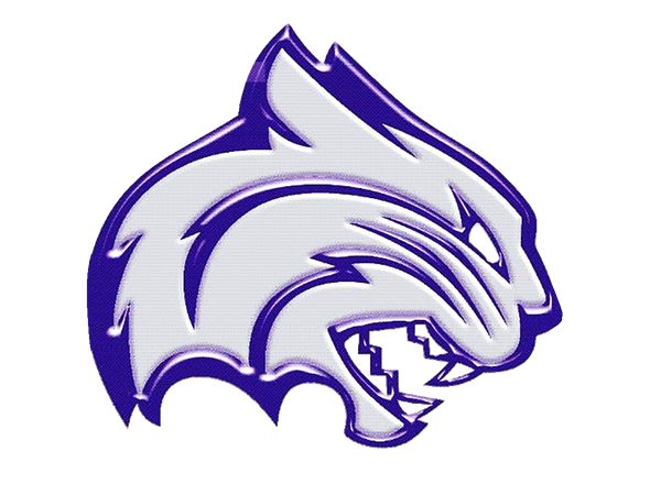 Transparent Logo (1) 1